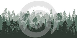 Forest background, beautiful landscape wallpaper. Evergreen coniferous trees. Silhouettes of pines, spruce, deciduous trees.