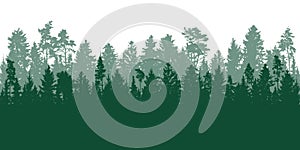 Forest background, beautiful landscape wallpaper. Evergreen coniferous trees. Silhouettes of pines, spruce, deciduous trees.