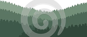 Forest background, beautiful nature, landscape. Evergreen coniferous trees. Silhouette of fir trees on mountains. Vector.