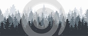 Forest background. vector photo