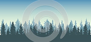 Forest background, nature, landscape. Silhouettes of spruce trees.All fir trees are separated from each other. Vector illustration
