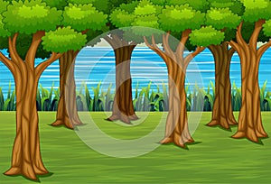 Forest background with a river landscape