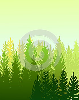 Forest background. Silhouette foggy panorama. Landscape with trees. Conifers. Beautiful view. Summer scene. Illustration