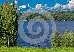 Forest banks on the Volga river