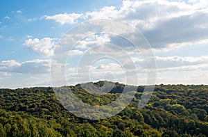 Forest at the beginning of the autumn