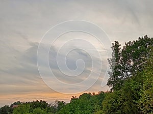 Forest belt on the background of the evening sky at sunset.