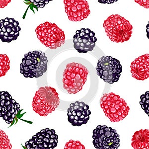 Forest berries, raspberries and blackberries, white background.