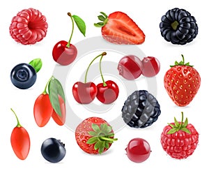 Forest berry. Sweet fruit. 3d vector icons set photo