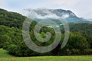 Forest with a big rock in the background shrouded in fog. Autumn mountain landscape. Early morning