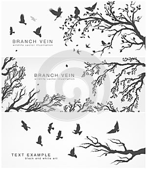Forest and birds banner for facebook vector Design