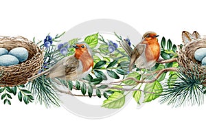 Forest birds seamless border. Watercolor illustration. Robin birds with nest in tree pine, boxwood, birch branches