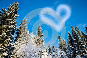 Forest with blue sky and a cloud shaped heart for Valentine's Da