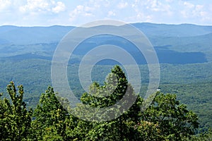 Forest bordering Appalachian Mountains photo