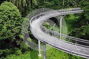 Forest Bridge In Singapore