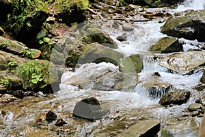 Forest brook running down the mossy hills