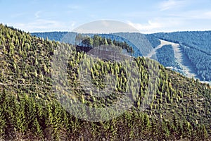 Forest after calamity. Kralova Hola, Slovakia