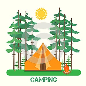 Forest camp