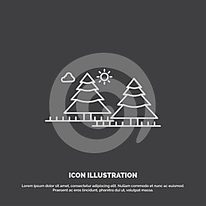 forest, camping, jungle, tree, pines Icon. Line vector symbol for UI and UX, website or mobile application photo