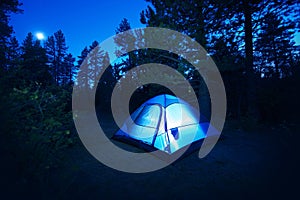 Forest Camping - Tent photo