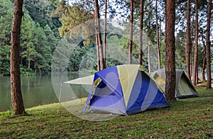 Forest camping tents near lake