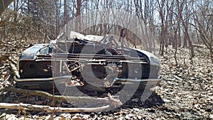 Forest car wreck abandoned