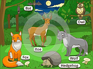 Forest with cartoon animals names