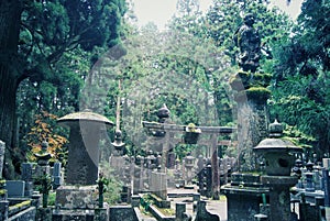 Forest cemetery at the top of the Mount Koya, Japan