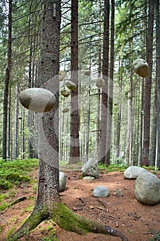 Lesný cintorín vo Vydrove na Slovensku.