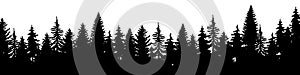 Forest of Christmas fir trees silhouette. Coniferous spruce panorama. Park of evergreen wood. Vector on white background