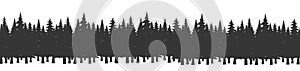 Forest of Christmas fir trees silhouette. Coniferous spruce panorama. Park of evergreen wood. Vector on white background