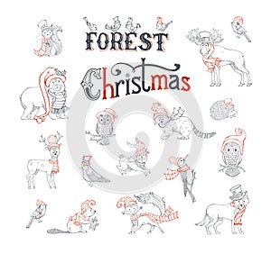 Forest Christmas set.