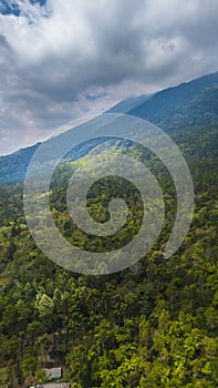 Forest and the Ciremai Mount, West Java