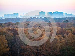 forest and city on horizon at blue dawn