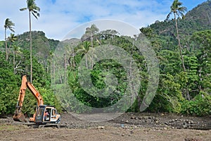 Bosque autorización o ser conectado abajo gracias sobre el desarrollo en El tercero países 