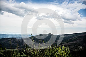 Forest clearing in Beskidy mountains