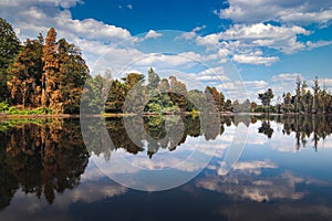 Forest and clouds reflected in the lake photo