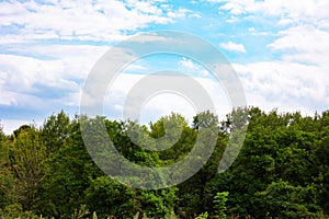 Forest and cloudy sky. Carbon net zero or carbon neutrality concept photo