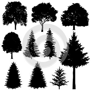 Forest coniferous and deciduous fir trees vector silhouettes set