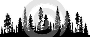 Forest, coniferous trees, silhouette vector background/ eps