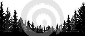 Forest, coniferous trees, silhouette vector background.
