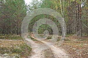 Forest country road in autumn creates an autumn mood.