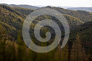 Forest countryscape in hesse germany
