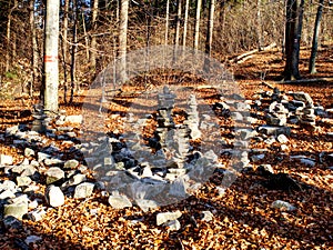 Forest covered with many mysterious piles of stones in autumn