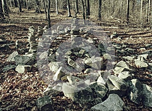 Forest covered with many mysterious piles of stones in autumn