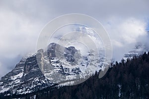 Forest covered slope and snow capped mountain tops piercing the thick fog and clouds