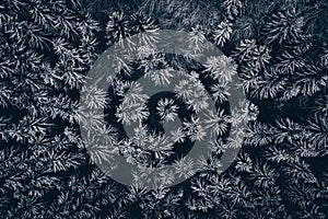 Forest covered in snow pattern background aerial view