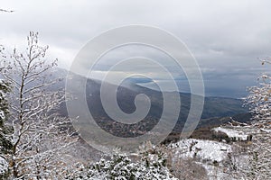 Forest covered with snow in Pilio
