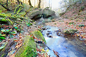 Forest creek autumn water mountain river landscape