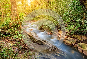 Forest creek in Rincon de la Vieja National Park in Costa Rica