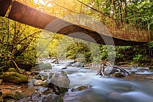 Forest creek in Rincon de la Vieja National Park in Costa Rica photo